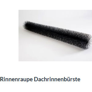 Dachrinnenbürste