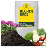 Blumenerde