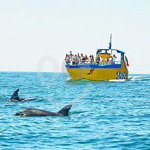 Bootsausflug In Albufeira