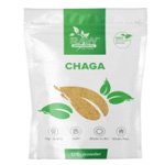 Chaga-Pulver