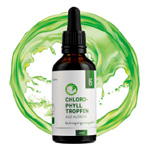 Chlorophylltröpfchen Chlorophylltröpfchen
