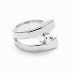 Cross-Link-Ring