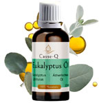 Eukalyptusöl