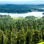 Finnisches Laplanbd