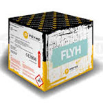 Flyh Shot Batterie Flyh Shot Batterie