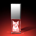 Glas Foto USB Stick