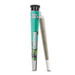 Kowabunga Magic Preroll
