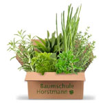 Küchenkräuterpaket