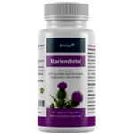 Mariendistel