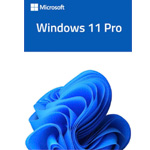 Microsoft Windows 11 Pro