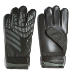 Predator Torwarthandschuhe