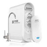 PX500-A 500 Osmose System