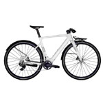 Scott E Bike