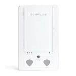EcoFlow Smart Home Panel