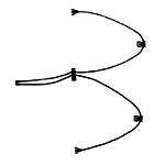 Solomon-Schnelllink