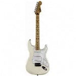 Standard Stratocaster