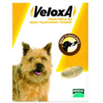 Veloxa Für Hunde