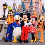 Walt Disney World Resort Ticket