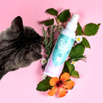Zahnspray Für Katzen