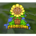 CBD Blume